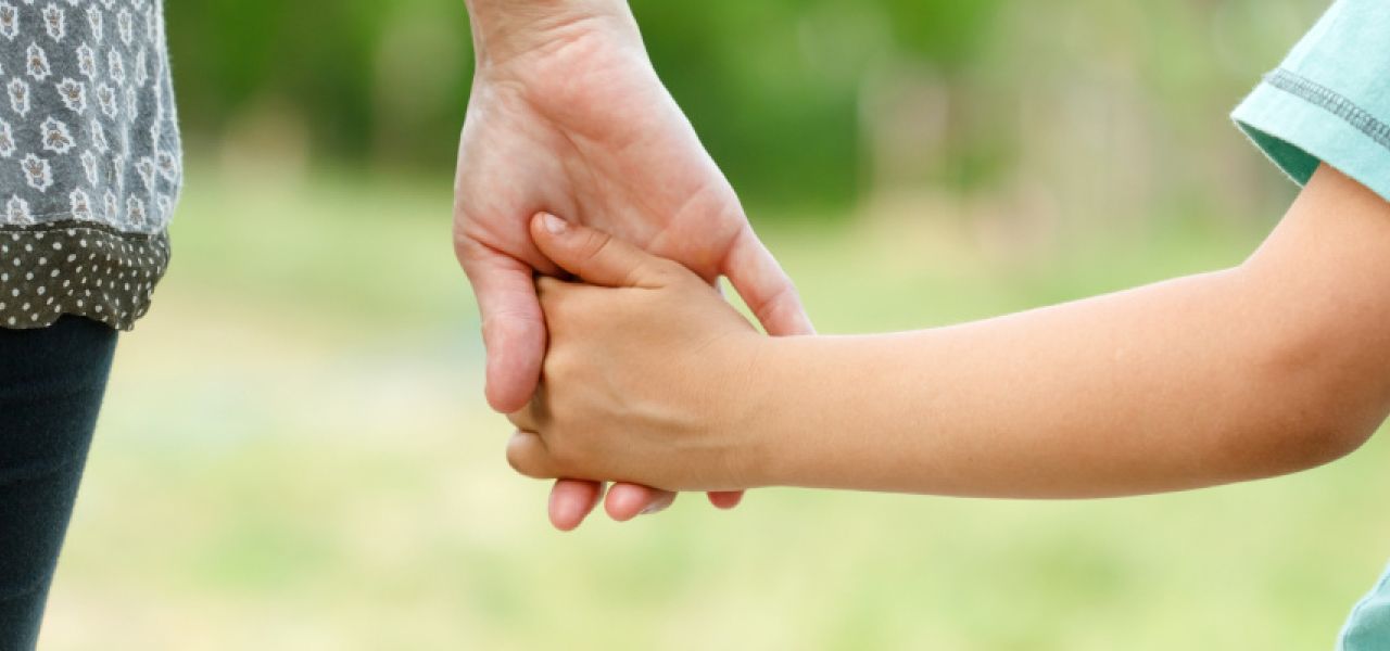 Family Lawyers